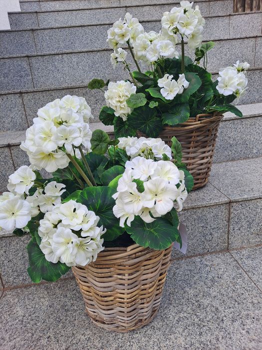 2szt. Pelargonie sztuczne w koszyku.