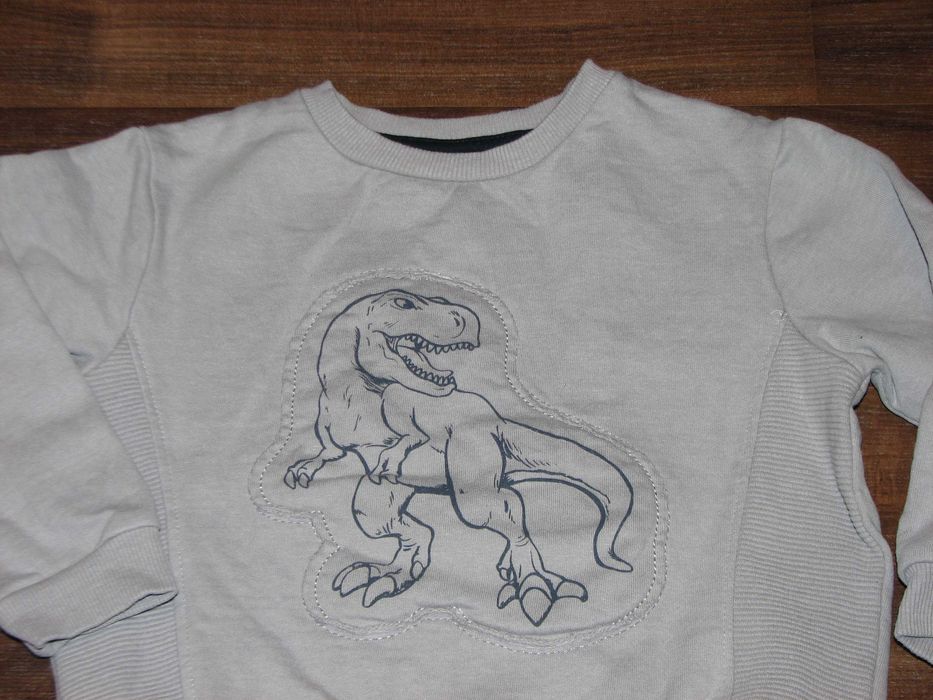 Little Kids bluza dinozaur 98 104