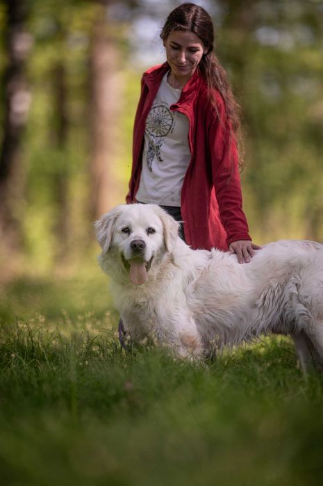 Nazir- wyjątkowy pies, dla wyjątkowego człowieka - do adopcji.