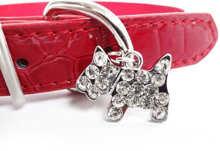 Kolorowe obróżki dla piesków