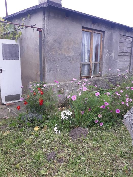 Sprzedam działkę rolną.