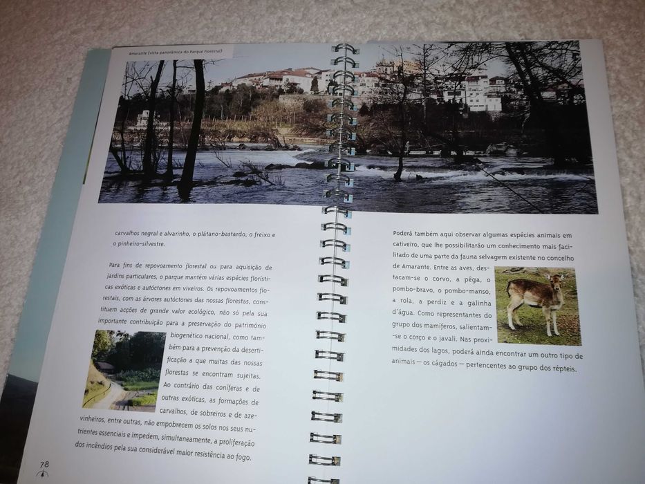 amarante (roteiro natural) 2001 livro