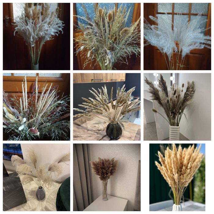букет из сухоцветов декор злаки колоски камыш мискантус вейникшишка