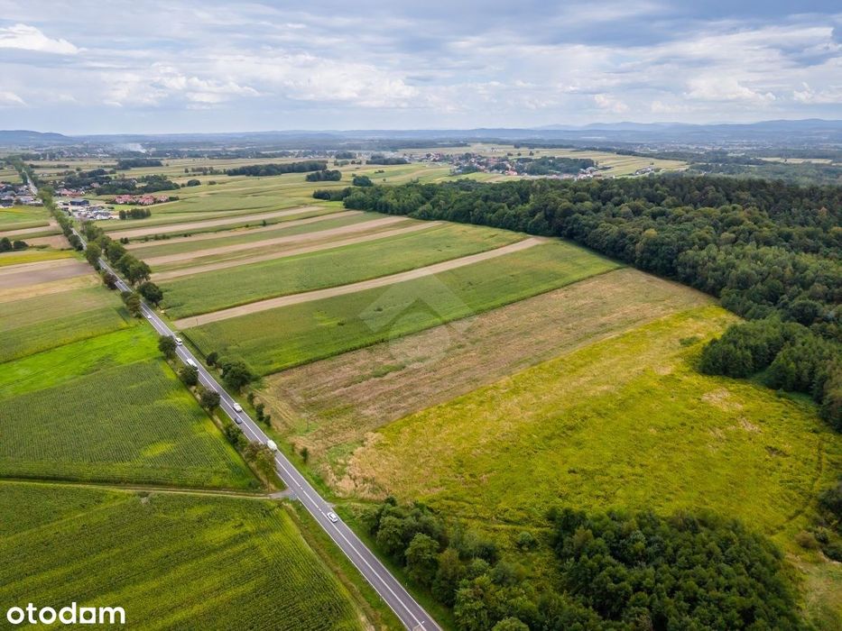 Działka rolna o powierzchni 2,6 ha - Widok 3