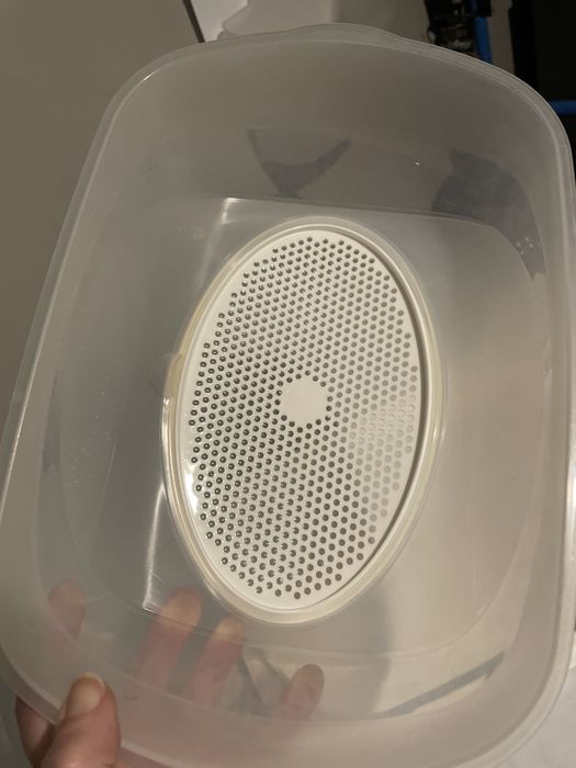 Queijeira de plastico