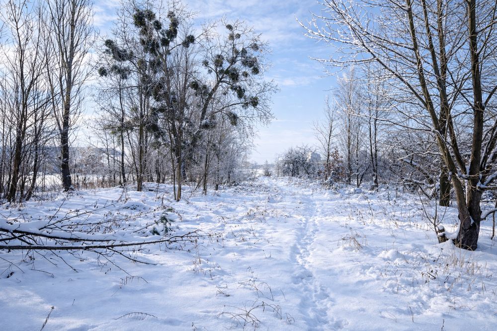 Ділянка 19 соток під забудову в Білогородці! БЕЗ КОМІСІІ