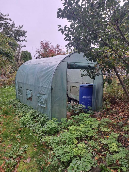 Działka ROD KORMORAN 300 m² Piłsudskiego - Widok 5