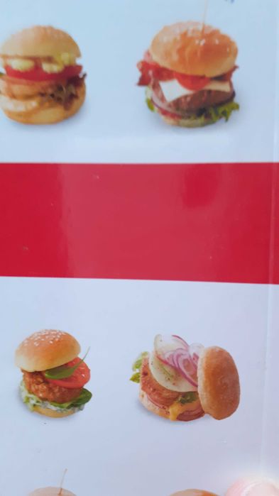 Livro Mini- hamburgueres, 2 cortadores e 20 bandeiras