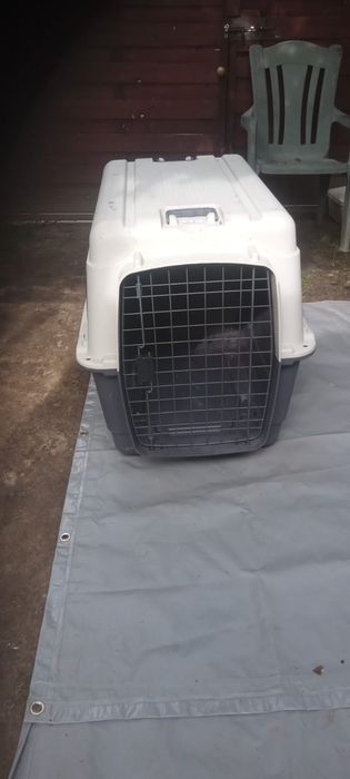 Sprzedam duży transporter dla psa.