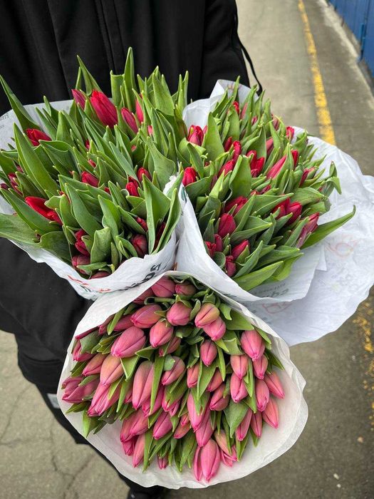 ОПТ! Тюльпан Запоріжжя від 19,90 грн від 50 шт 8 березня / марта