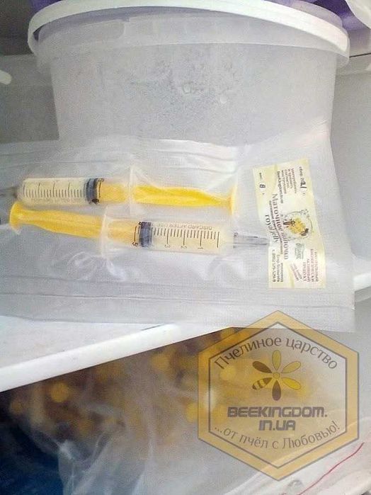 Маточное молочко чистое свежезамороженное (30 дн курс)