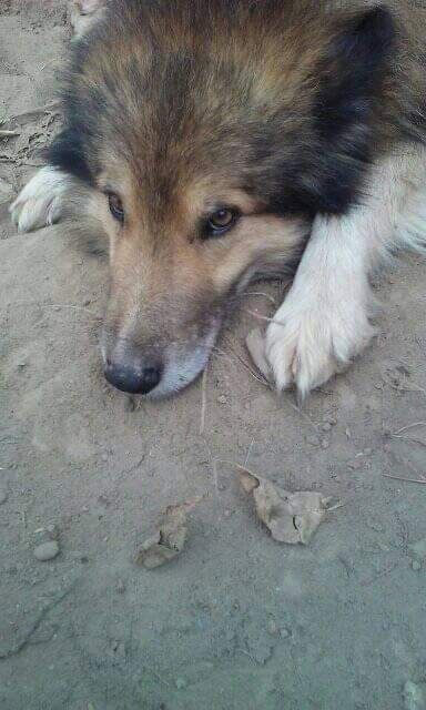 ZAGINĄŁ 6 LAT TEMU. Błagam o pomoc
