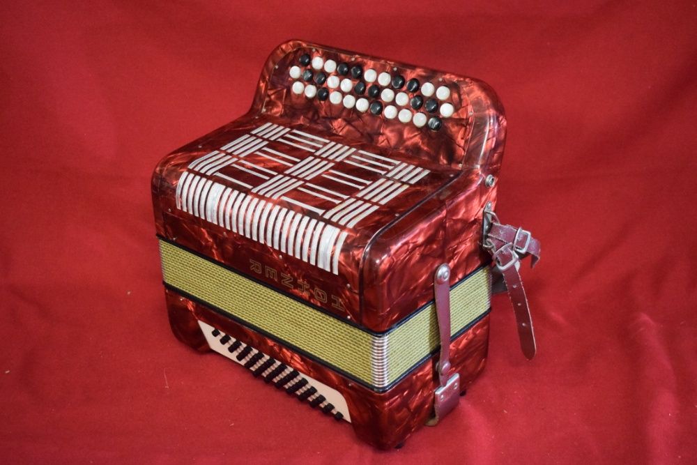 Hohner Amati Accordion, 2-Row, 48 Bass, No. 7264740306535425123