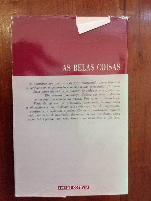 José Dinis Fidalgo - As belas coisas