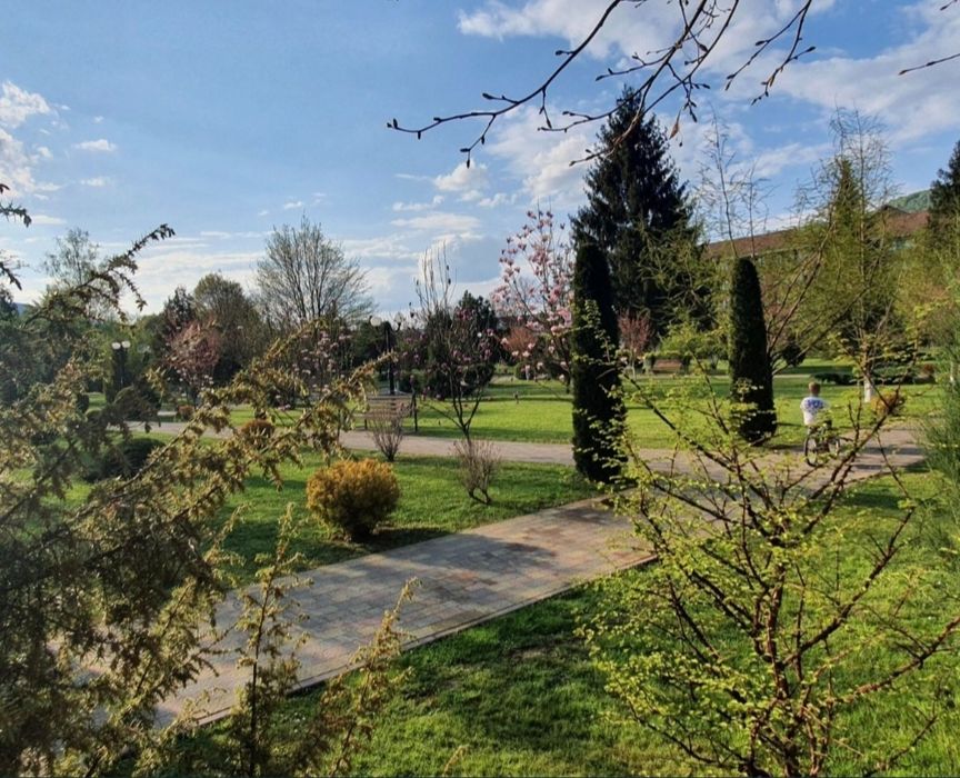 Закарпаття Солочин Голубине ,,Сонячний квартал" 2 кім апартаменти