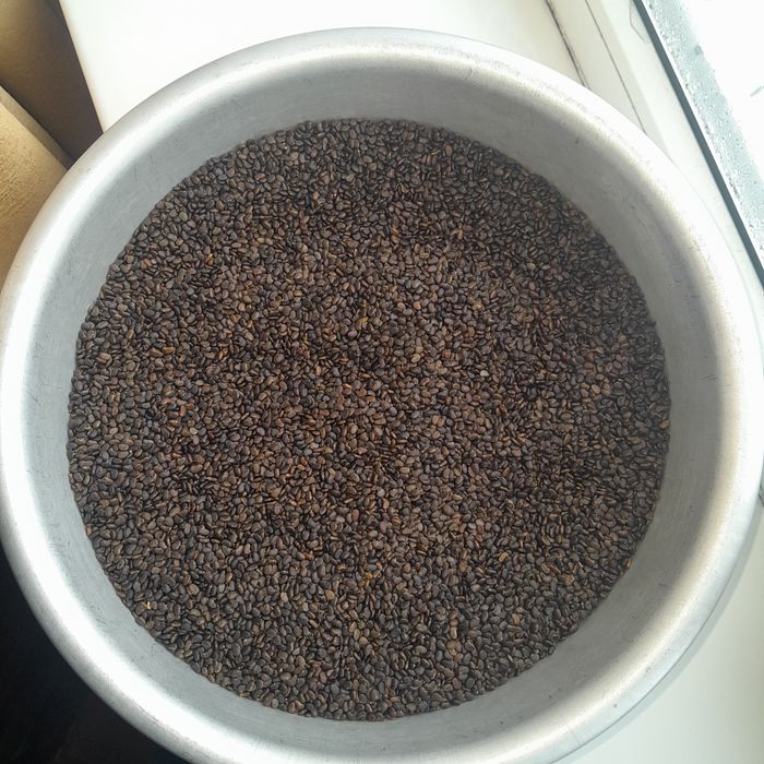 Продам насіннв  акації білої