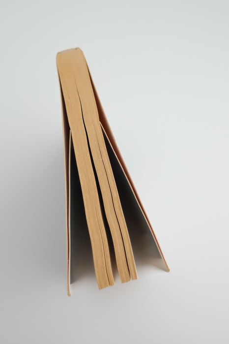 Espera por mim / livro