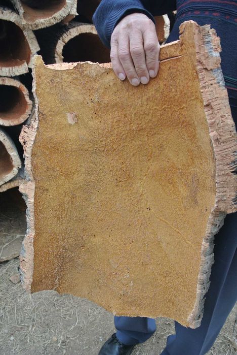 Terreno (Property) 24 Hect . Cortiça (Cork). Bx Alentejo. Algarve