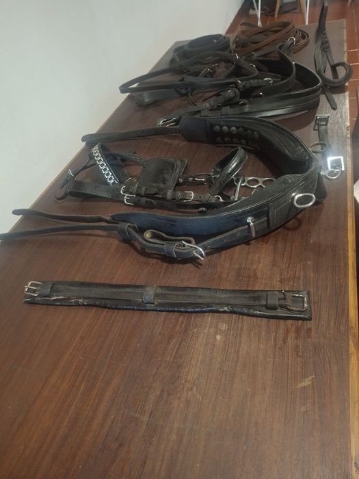 Vendo arreio de engatar