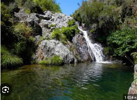 Terreno  Vidual de Cima - Pampilhosa da serra