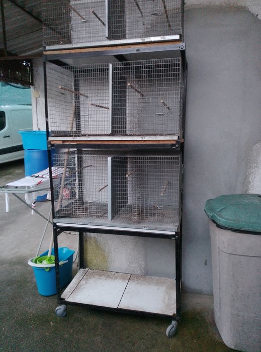 Várias Gaiolas para aves e ninhos caturras