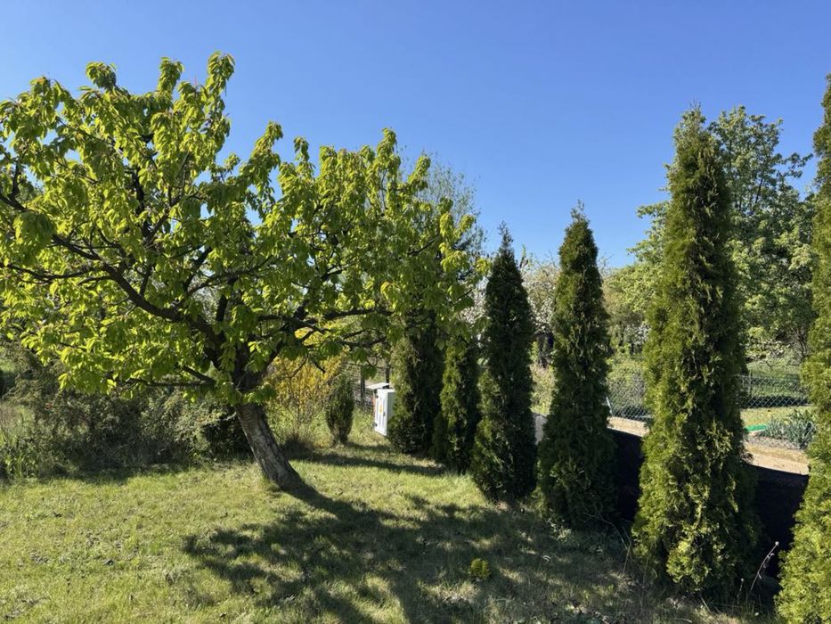 Działka ROD z altaną