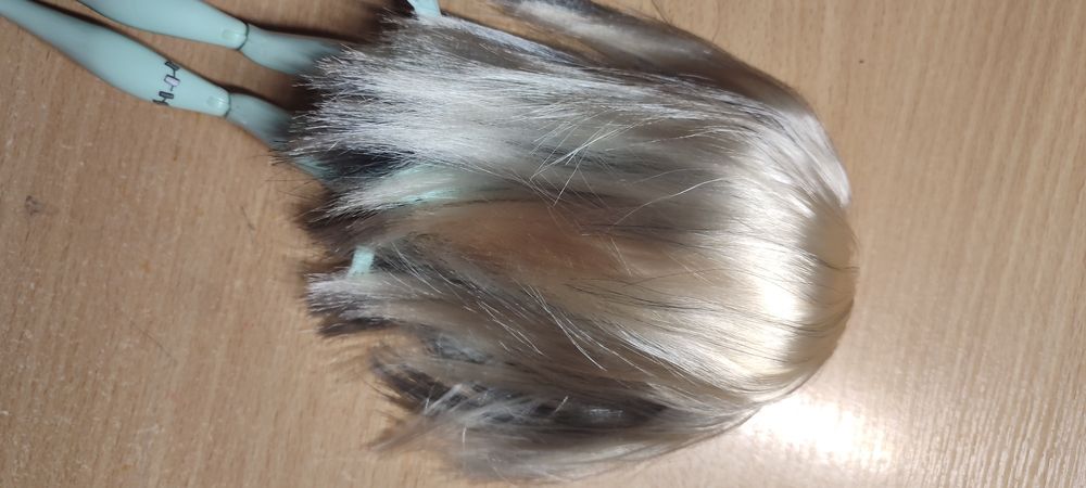 Монстер хай monster high розквіт танцю Dawn Of The Dance