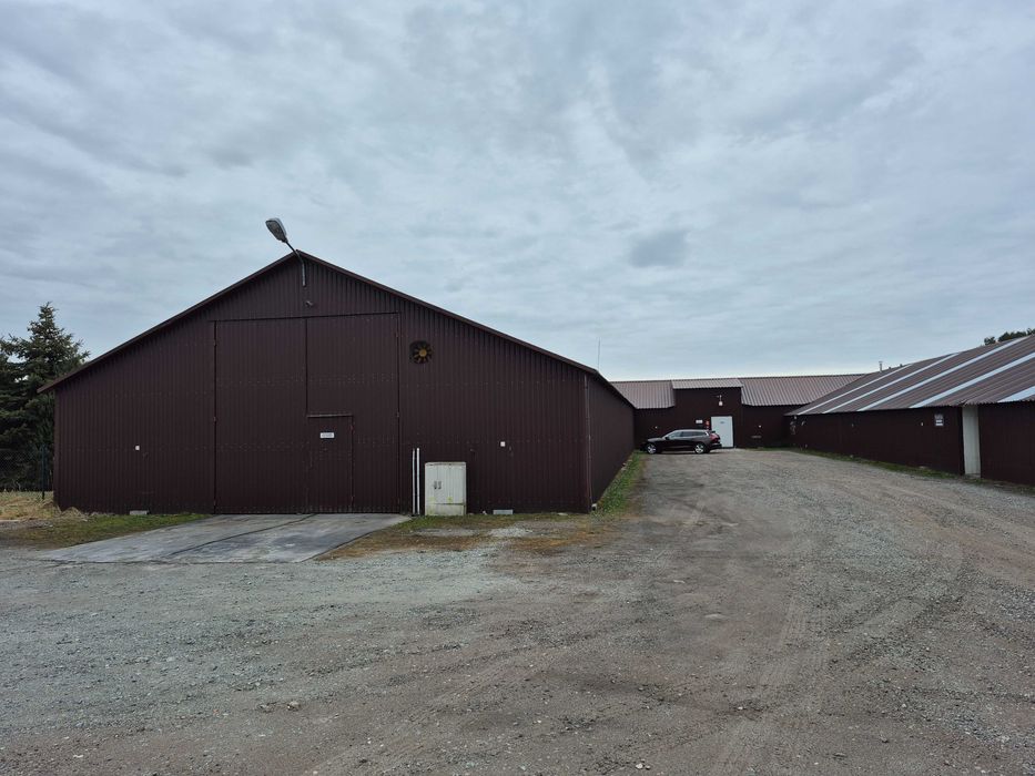 Do wynajęcia hala produkcyjna