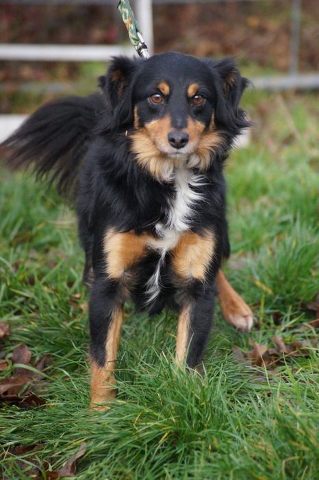 Mały i kochany Cedrik- pokochaj go