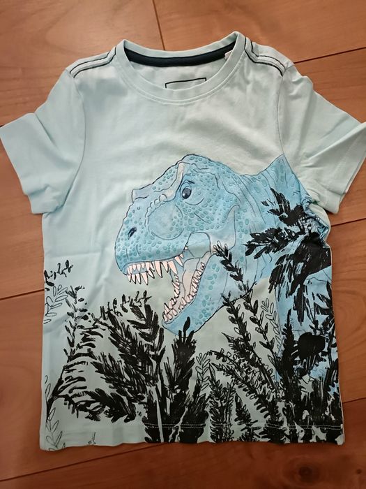 T-shirt Dinossauros  + Camisa Zara  - 5 anos (110 cm)