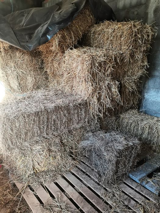 Fardos de palha para venda.