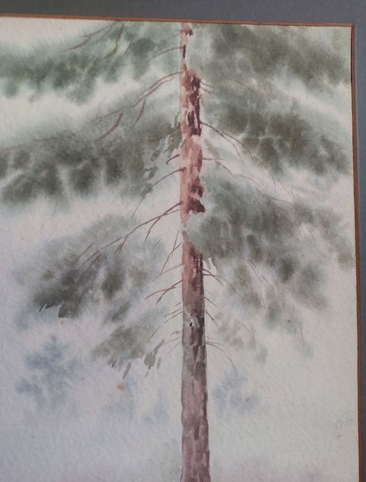 Maciej Nehring. Pejzaż leśny. Akwarela.