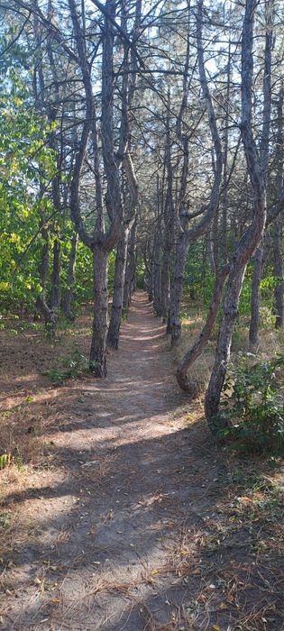Дом в дачном кооперативе за  Отрадным дача