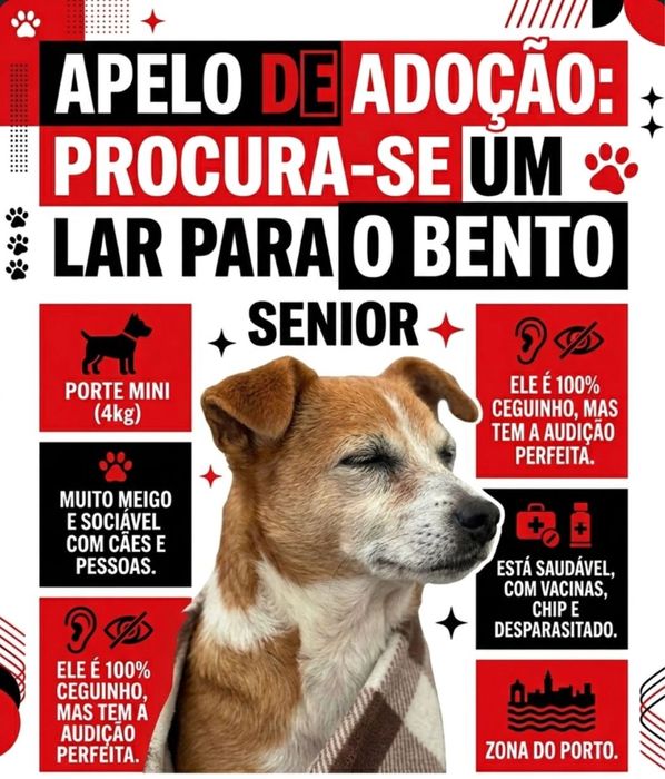Bento para adoção responsável