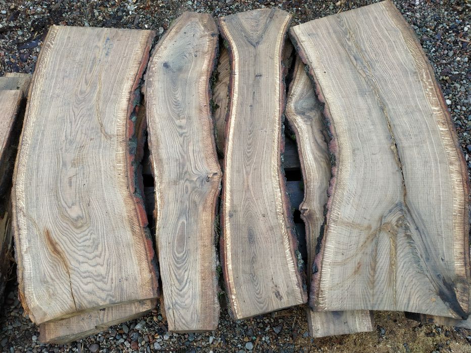 Deski plastry na stół ławki itp dąb akacja klon