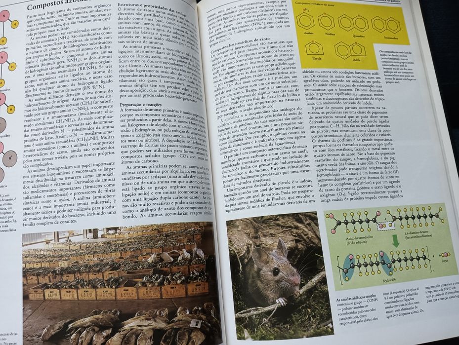 A química - Ardley, Neil; Matthews, Robert - Como Novo!!*