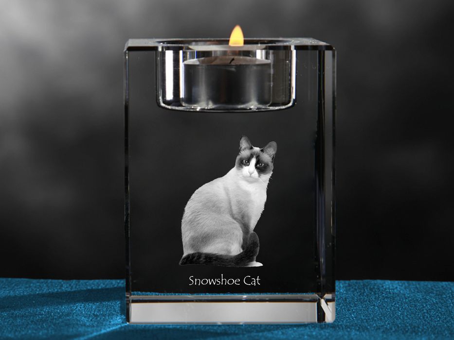 Snowshoe  świecznik kryształowy z kotem Art-Dog