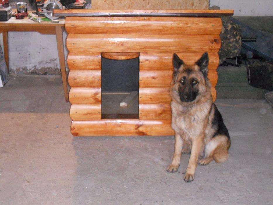 Будка для собак, будка собачья.