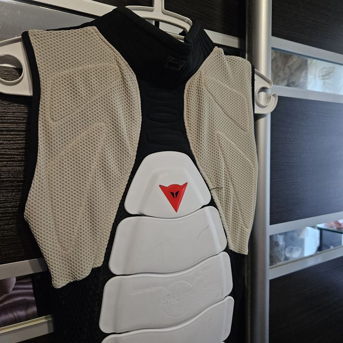 Мото захист спини Dainese wr pro 2