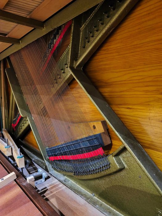 Pianino Rippen holenderskie