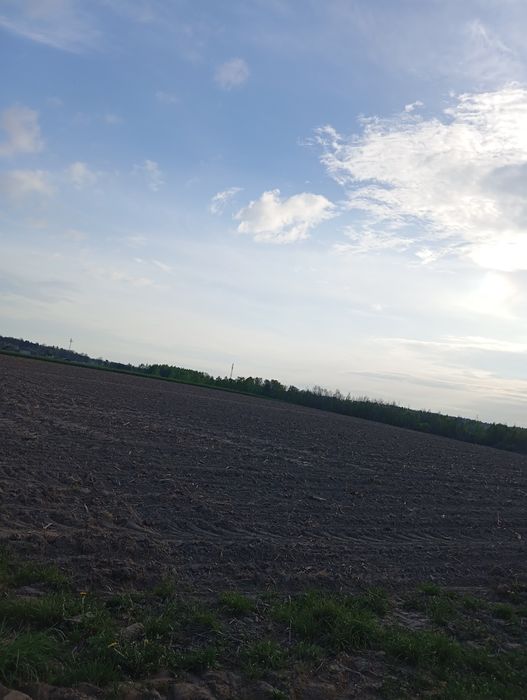 Działka budowlana Gardeja