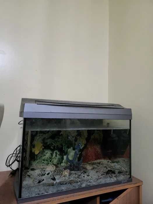 Vendo aquário completo posso aceitar trocas