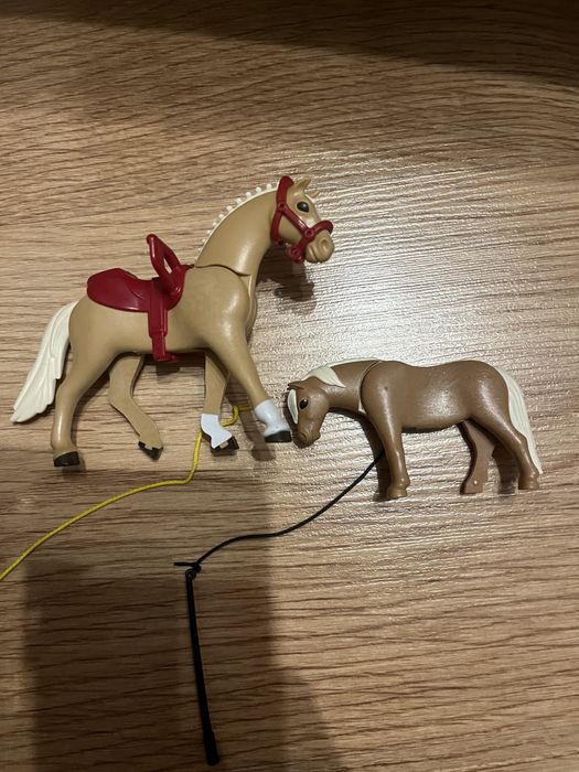 Zestaw playmobil trener koni