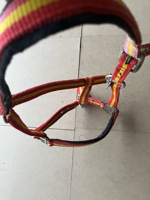 Cabeção usado em bom estado