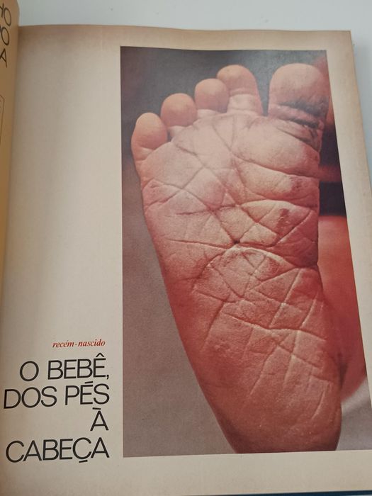 Enciclopédia Nossas Crianças