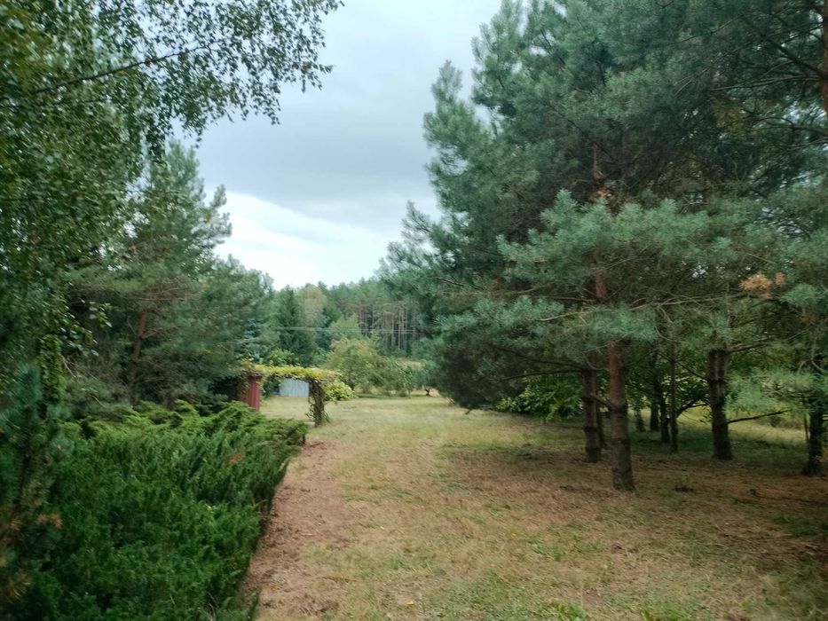 Kol. Leńce, gmina Dobrzyniewo Duże 2000m2