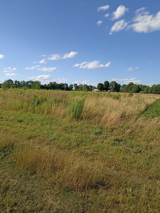 Продається земельна ділянка в с. Боянець. Площа 0.2012 га. Ціна 5500 $