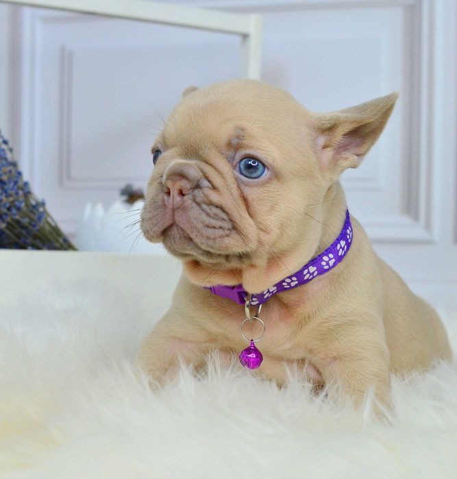 Чарівні малюки у пошуках люблячих родин!!!