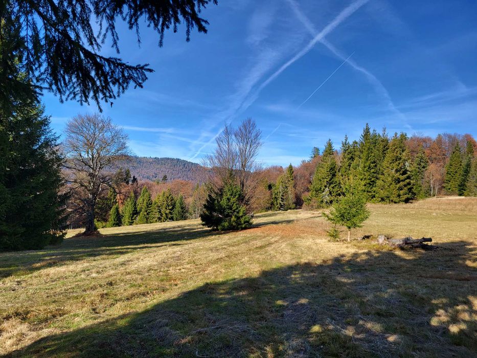 Działka w Gorcach -polana z lasem