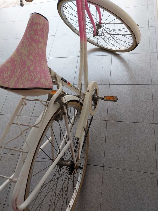 Bicicleta tipo Pasteleira